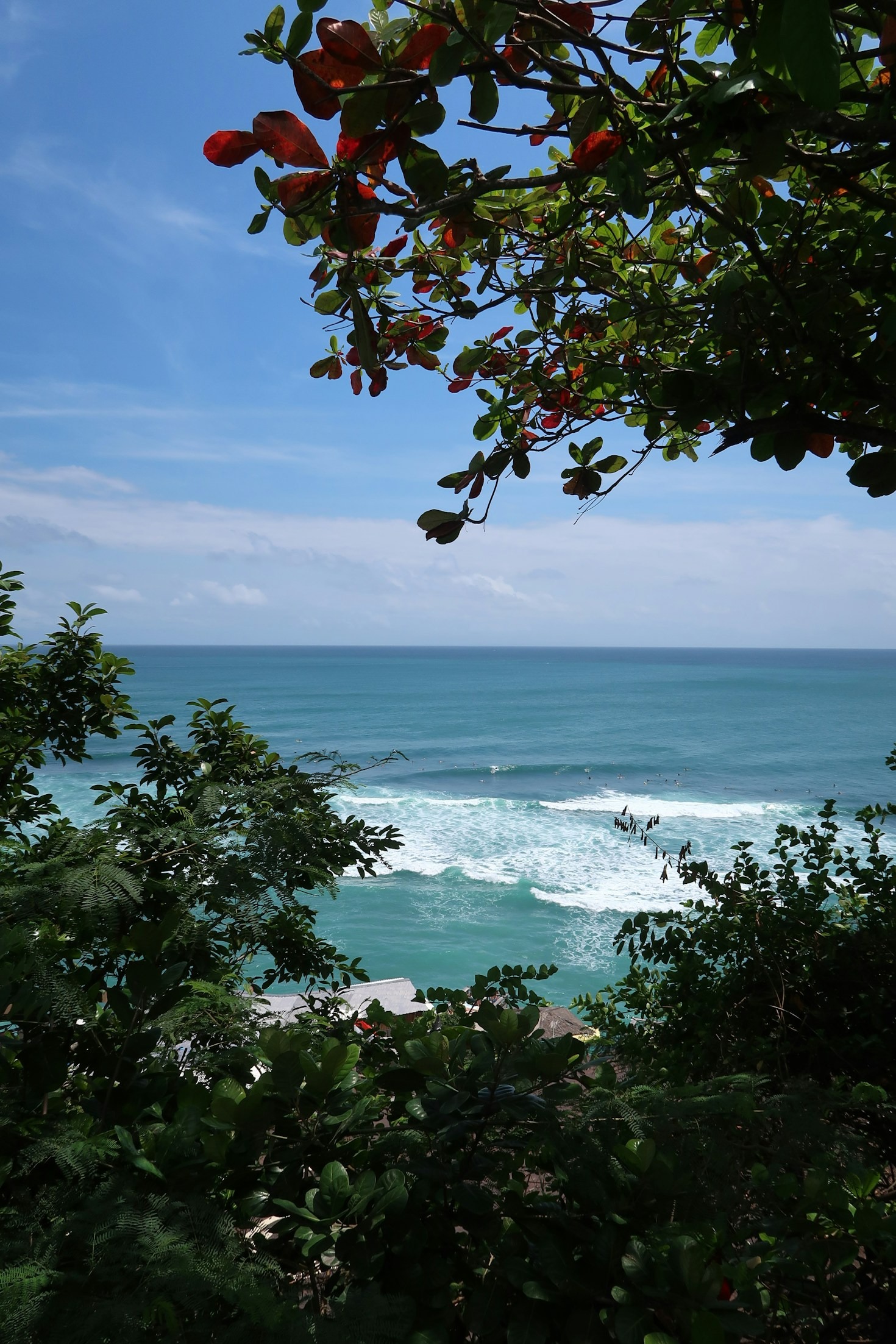 Warum das Haus auf dem Darß ideal für Familien ist
