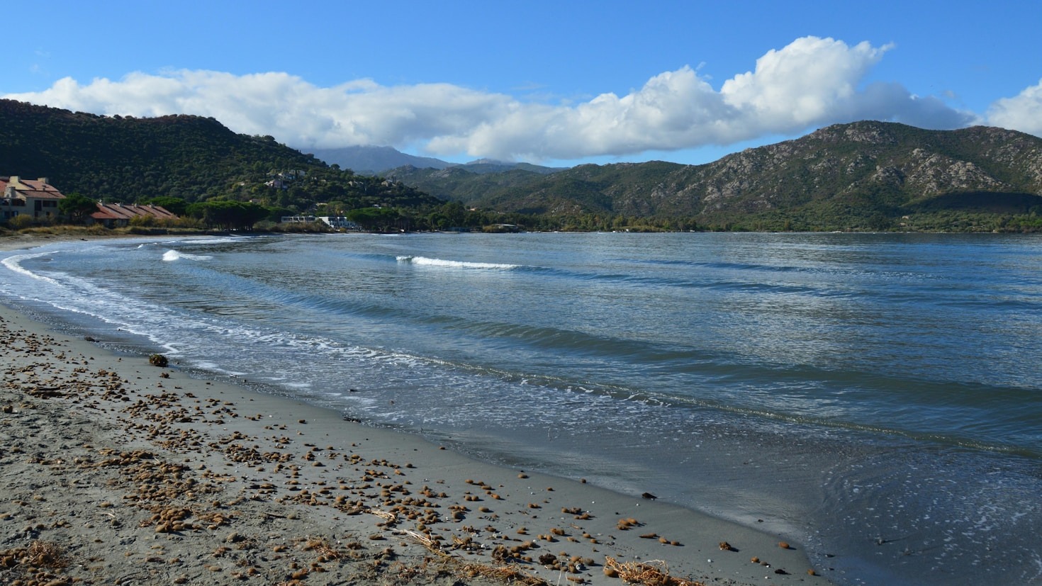 So genießen Sie einen nachhaltigen Urlaub auf dem Darß